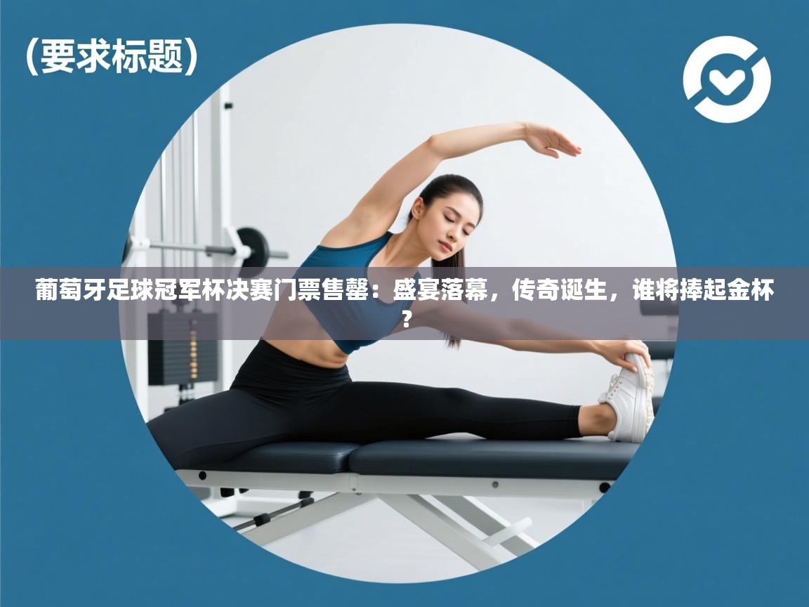 葡萄牙足球冠军杯决赛门票售罄：盛宴落幕，传奇诞生，谁将捧起金杯？