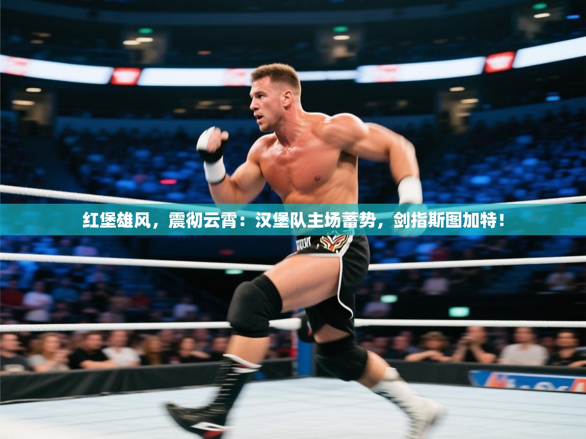 红堡雄风，震彻云霄：汉堡队主场蓄势，剑指斯图加特！