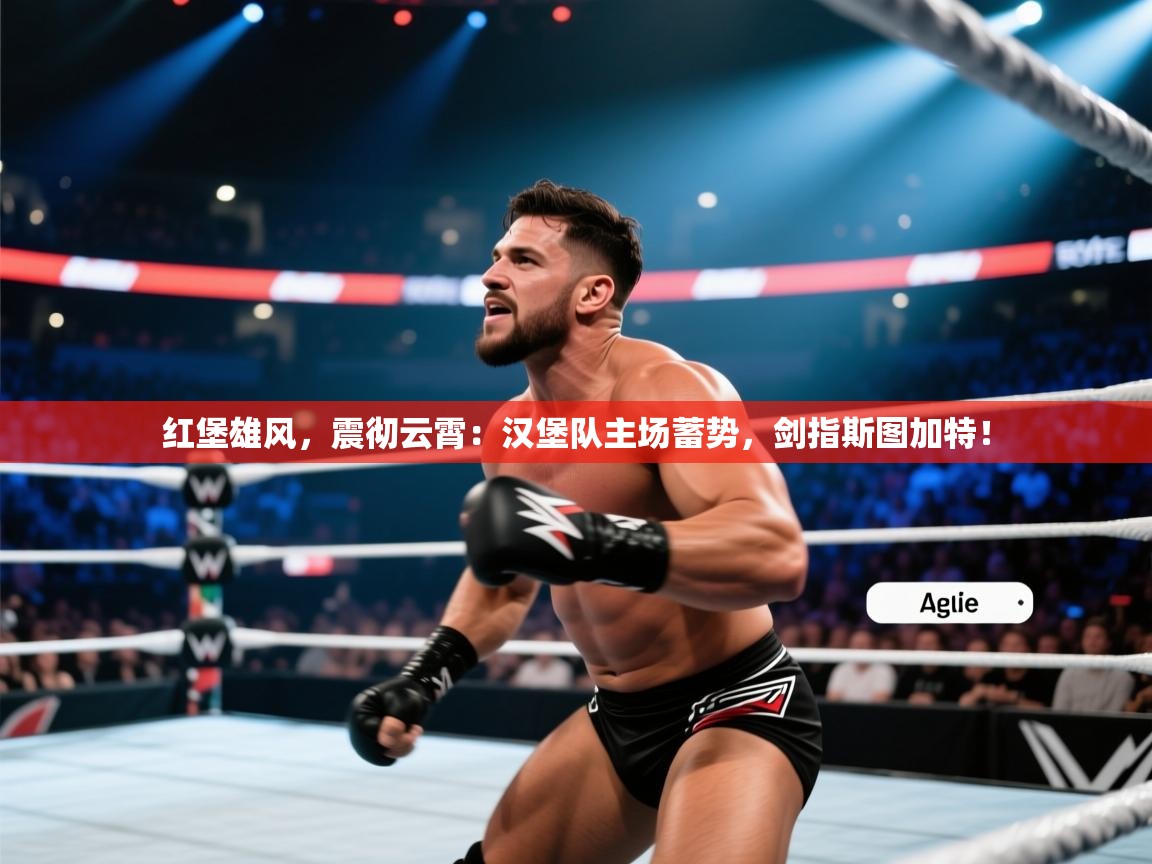 红堡雄风，震彻云霄：汉堡队主场蓄势，剑指斯图加特！  第2张